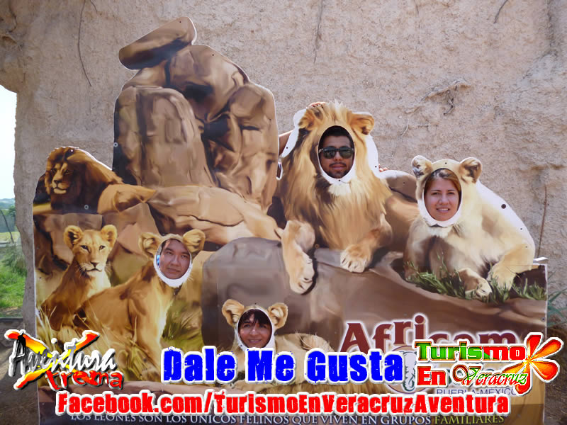 Excursi�n a Africam Safari Saliendo De Veracruz y Xalapa