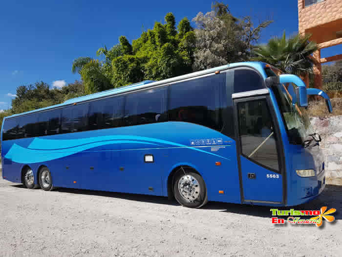 Servicio De Transportacion