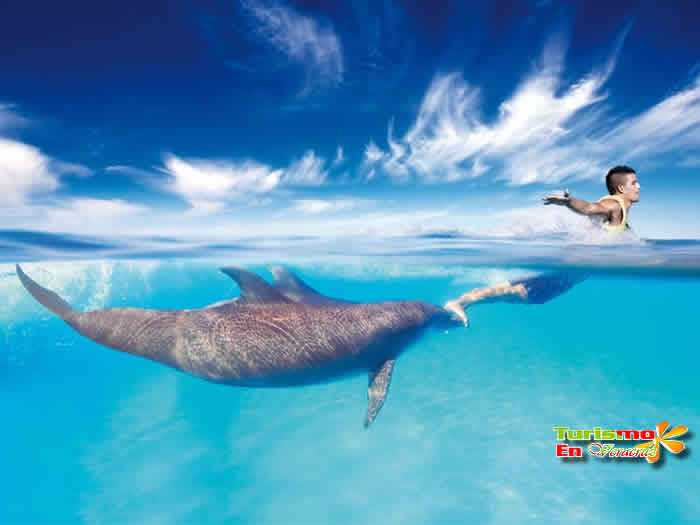 Viaje a Cancun