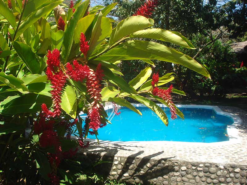 Hospedaje En Hostal Rio Pescados Jalcomulco Veracruz