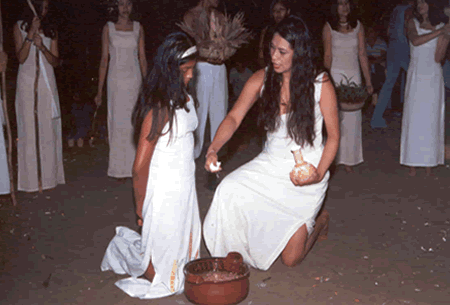Caba�as Nanciyaga Veracruz