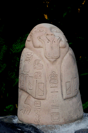Reserva Ecologica De Nanciyaga Caba�as Catemaco Veracruz
