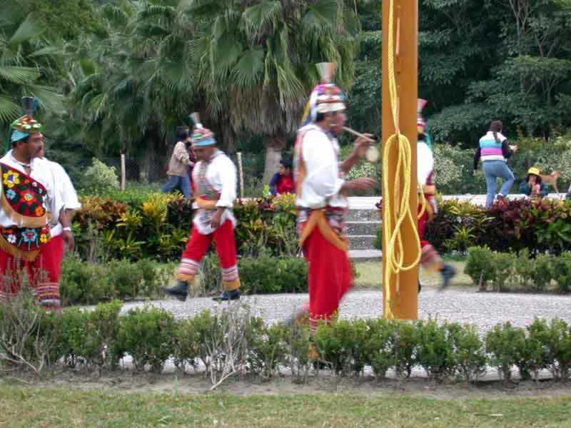 Espectaculo De Violadores De Papantla Veracruz